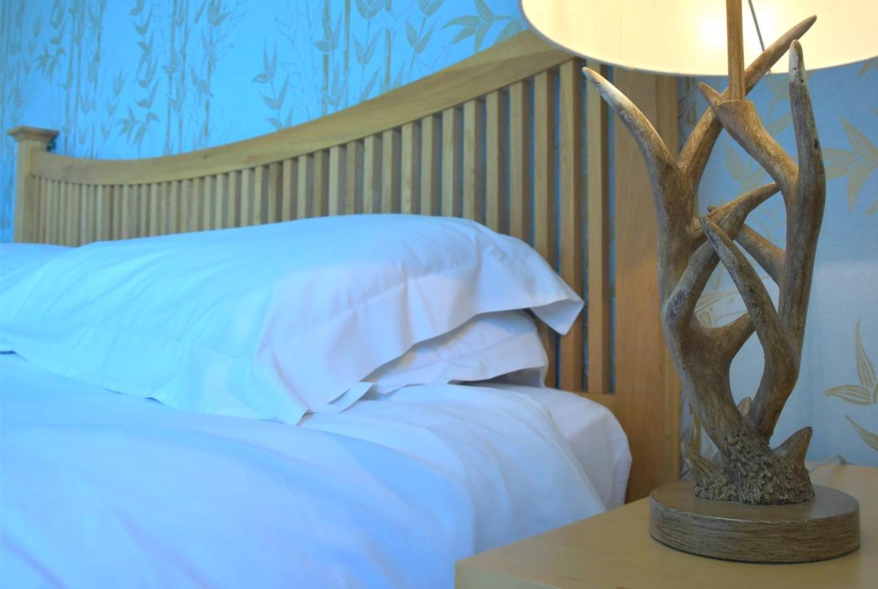No12 Bed And Breakfast, St Andrews Ngoại thất bức ảnh